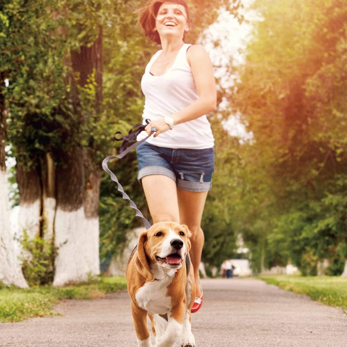 Hands Free Dog Leash for Running, Walking, Hiking Jogging for Medium & Large Dogs up to 150Lbs, Durable Dual Handle Waist Leash with Reflective Bungee and Adjustable Waist (Red)