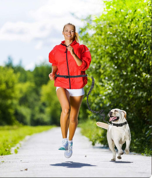 Hands Free Dog Leash for Running, Walking, Hiking Jogging for Medium & Large Dogs up to 150Lbs, Durable Dual Handle Waist Leash with Reflective Bungee and Adjustable Waist (Red)