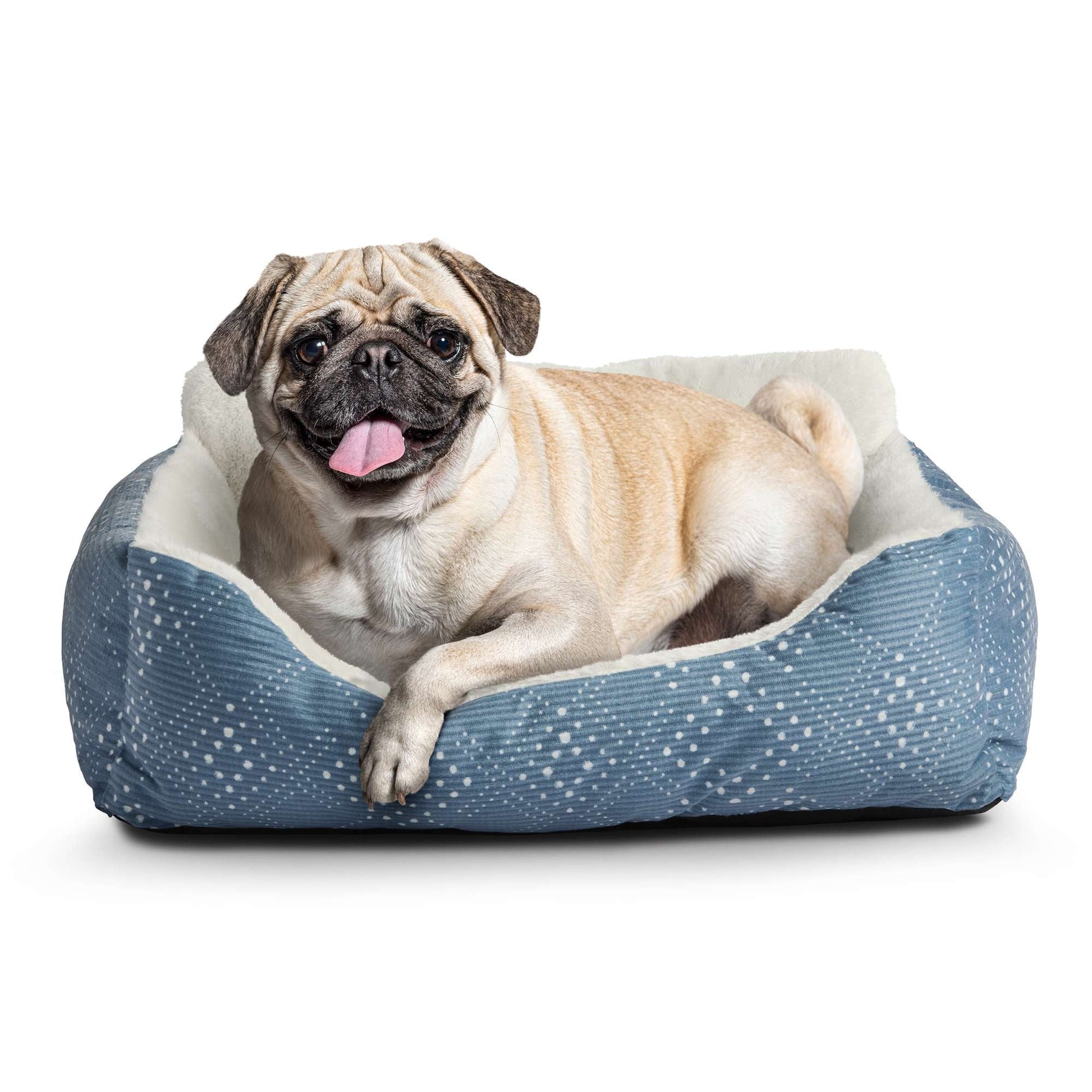 Lounger Small Dog and Cat Pet Bed, Blue 21" X 17"